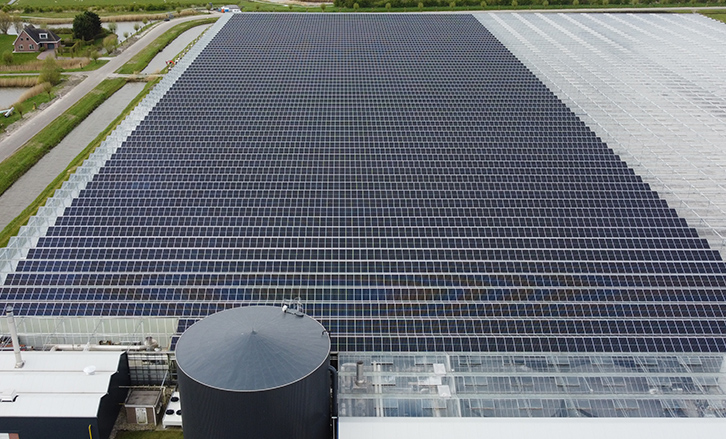 Industriële zonnepanelen Dilli MR Solar Nederland