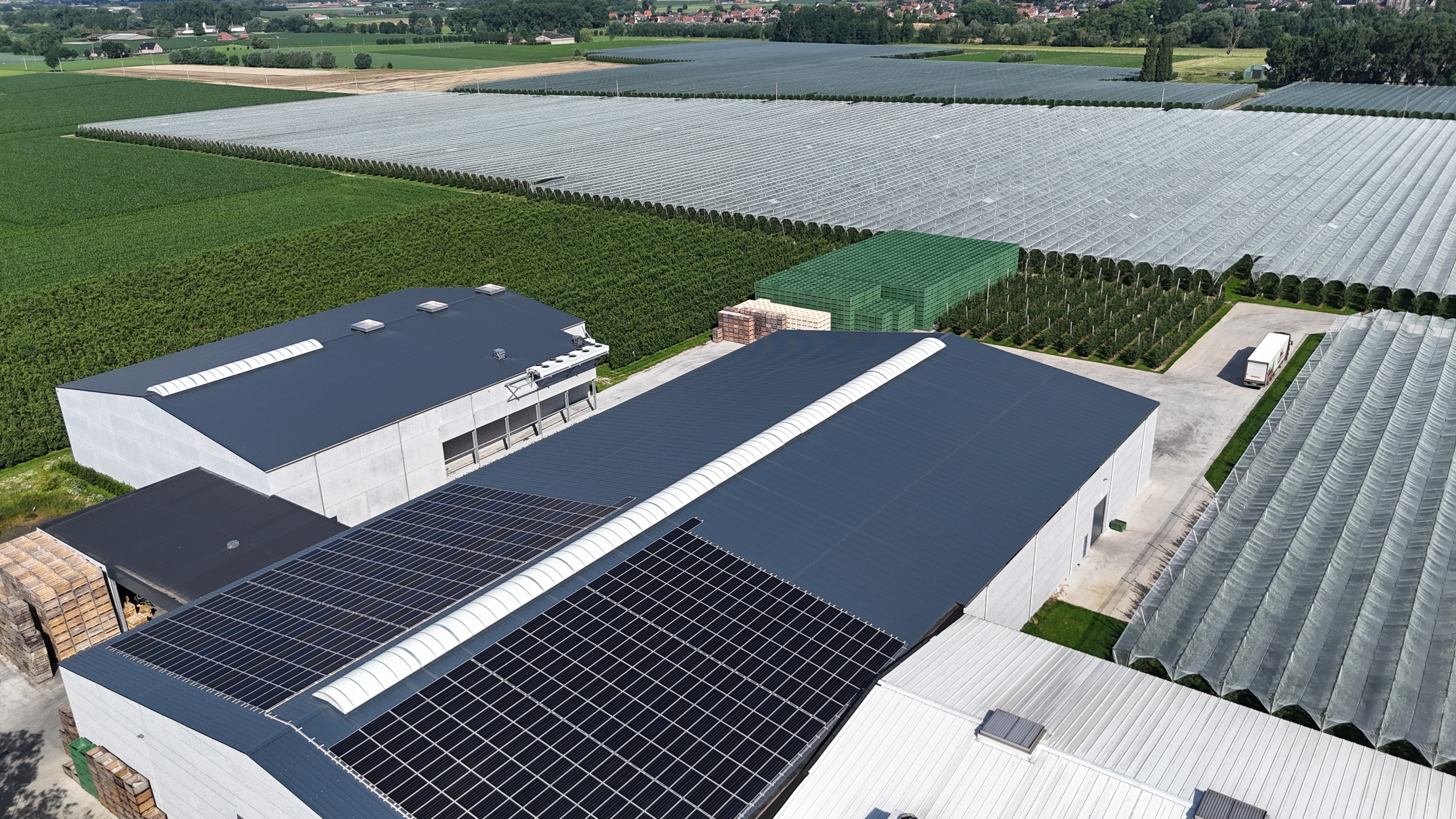 Wolfcarius plukt de vruchten van zonne-energie